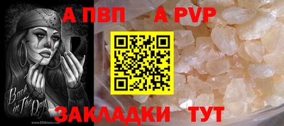 стаф Боровичи