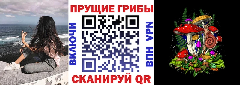 Псилоцибиновые грибы Cubensis  Биробиджан 