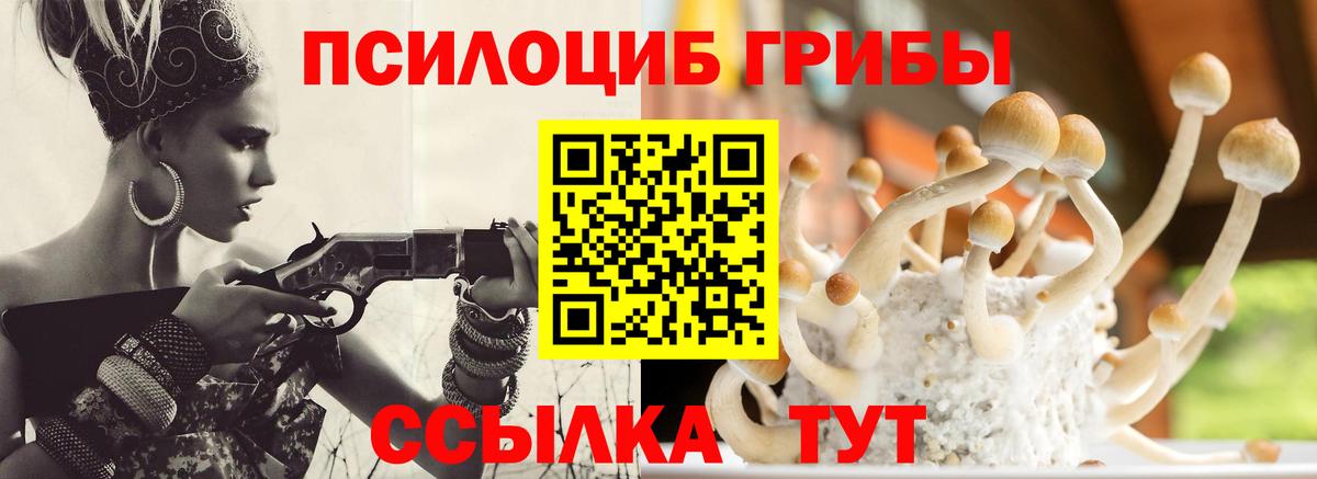 Галлюциногенные грибы мицелий Биробиджан