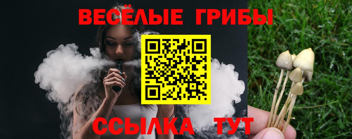 где найти   Вход с VPN  Биробиджан  Псилоцибиновые грибы MAGIC MUSHROOMS 